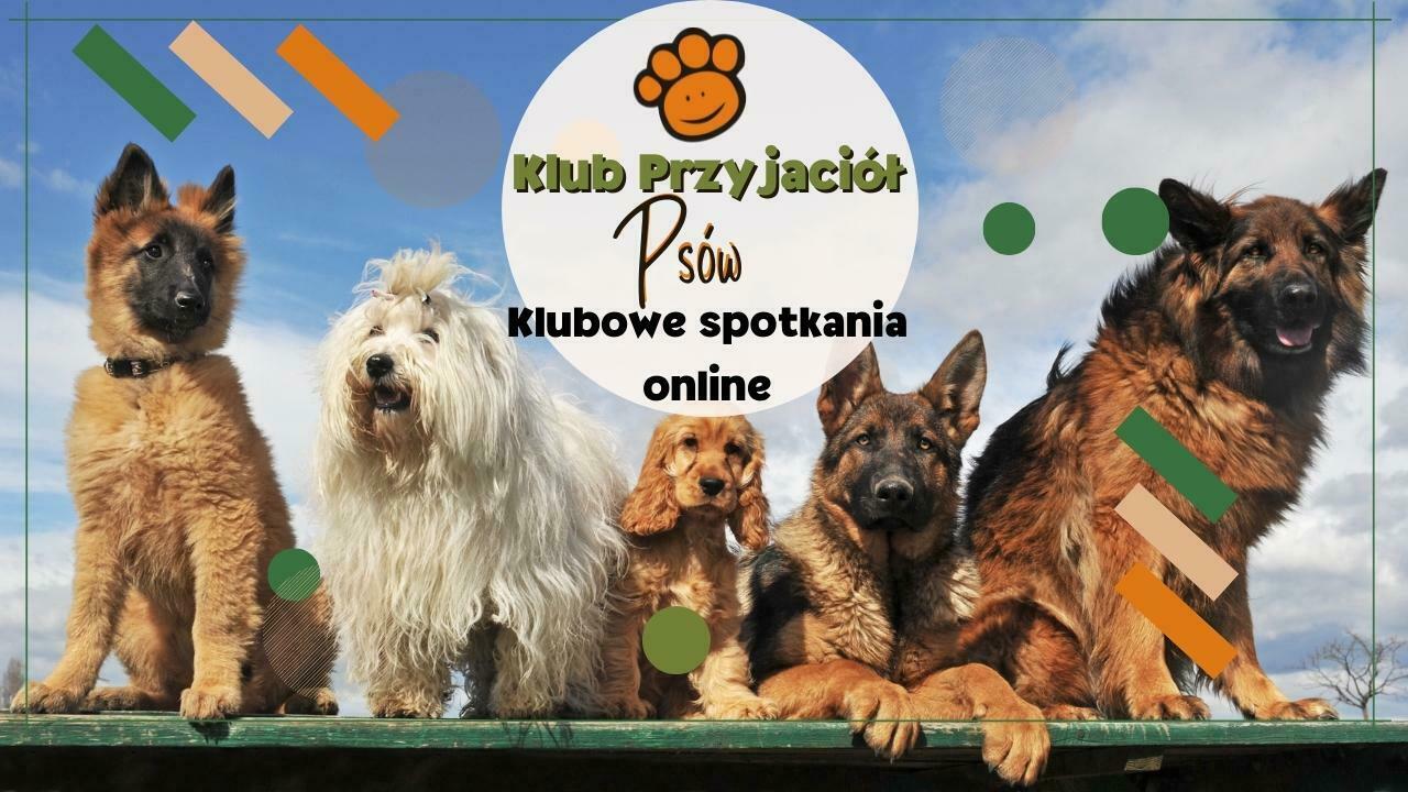 Klubowe spotkania online