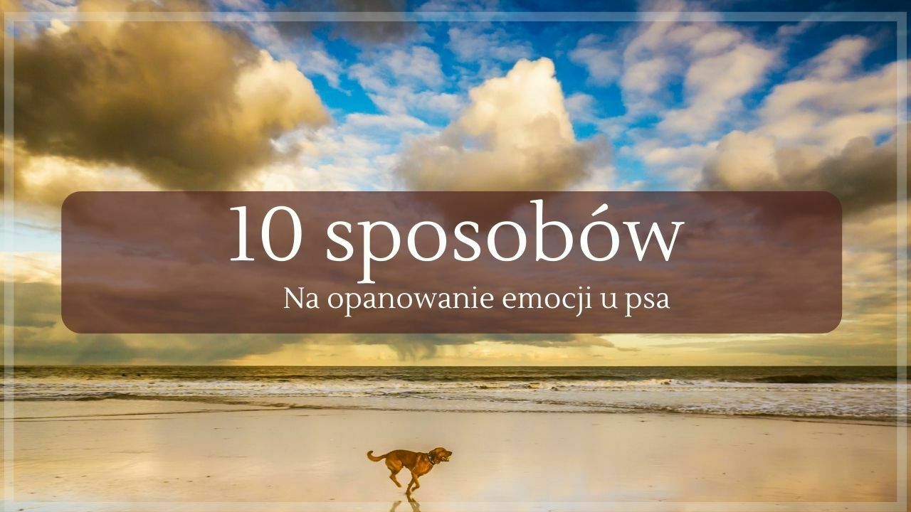 10 sposobow