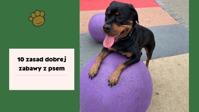 10 zasad zabawy