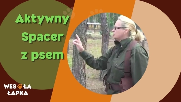 Aktywny spacer z psem