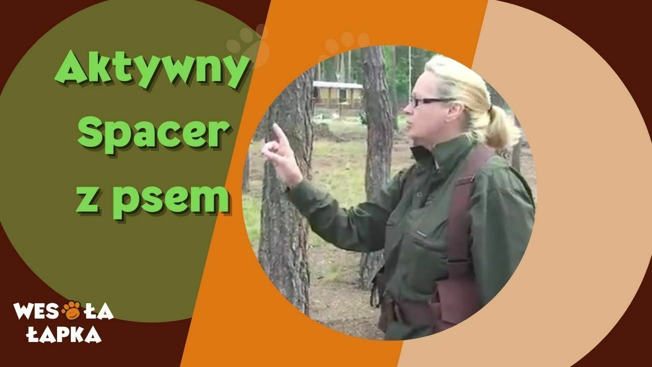 Aktywny spacer z psem
