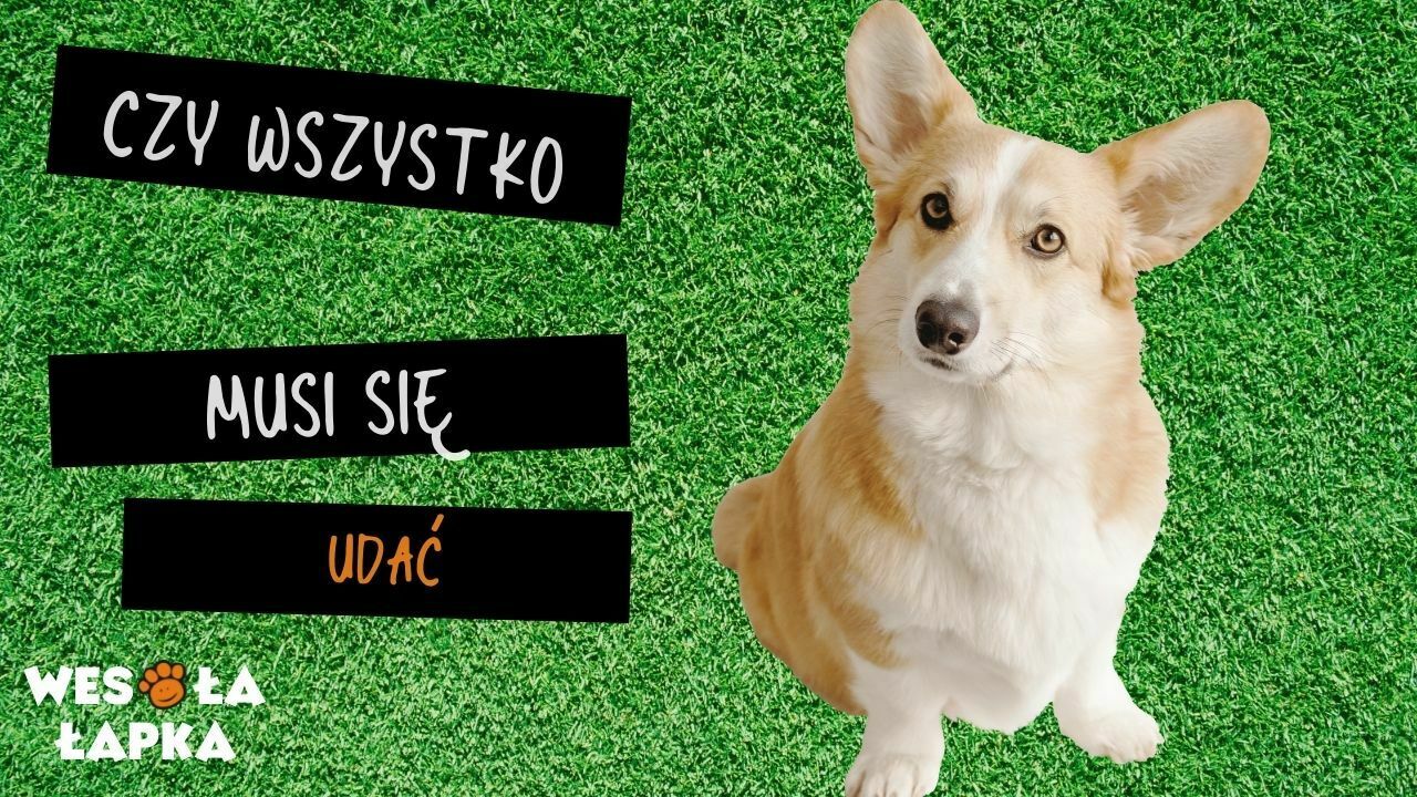 CZy wszystko musi się udać