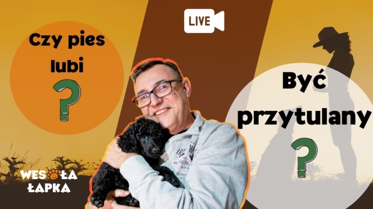 Czy pies lubi być przytulany