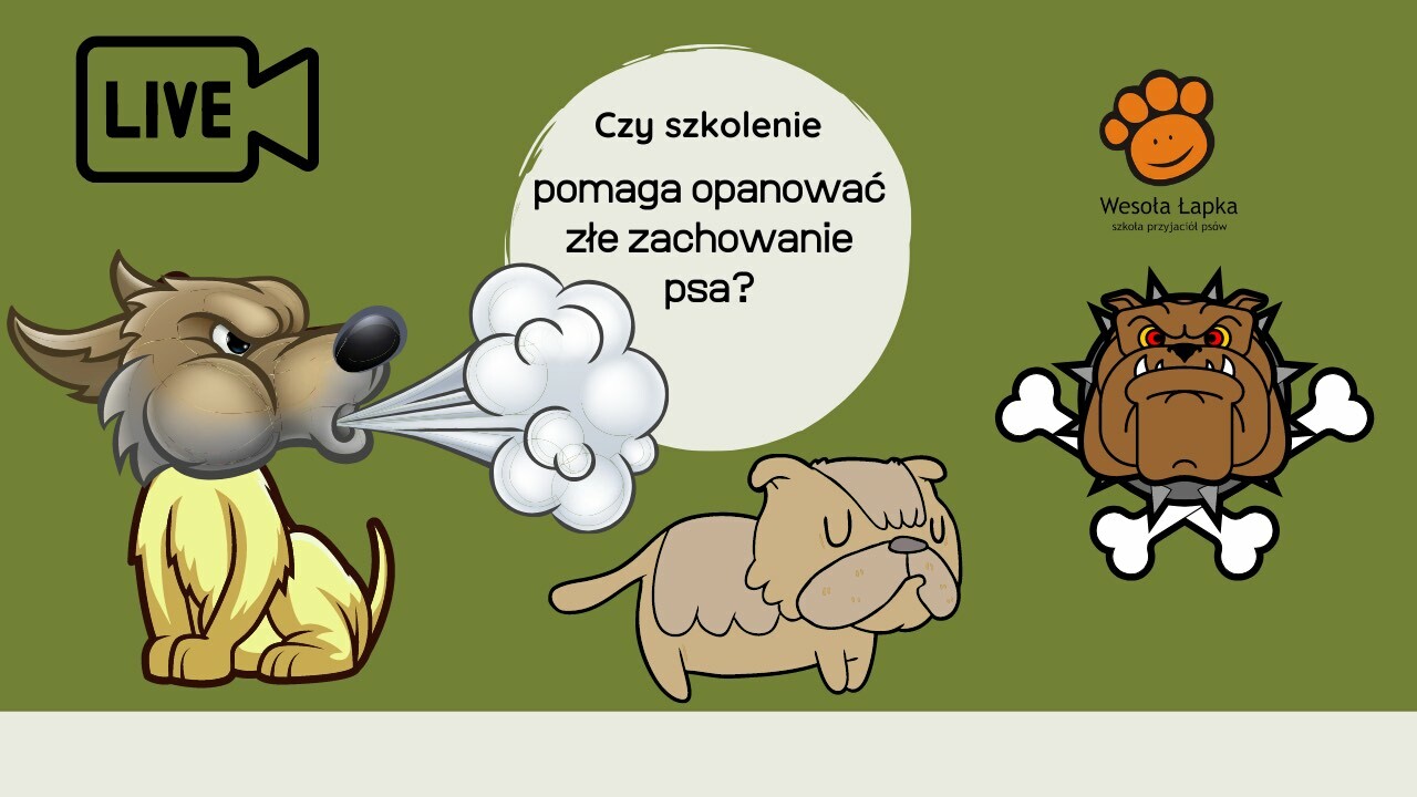 Czy szkolenie pomaga opanować zle zachowanie