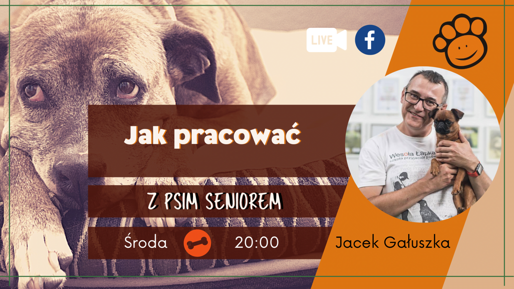 Jak pracowac´ z psim seniorem