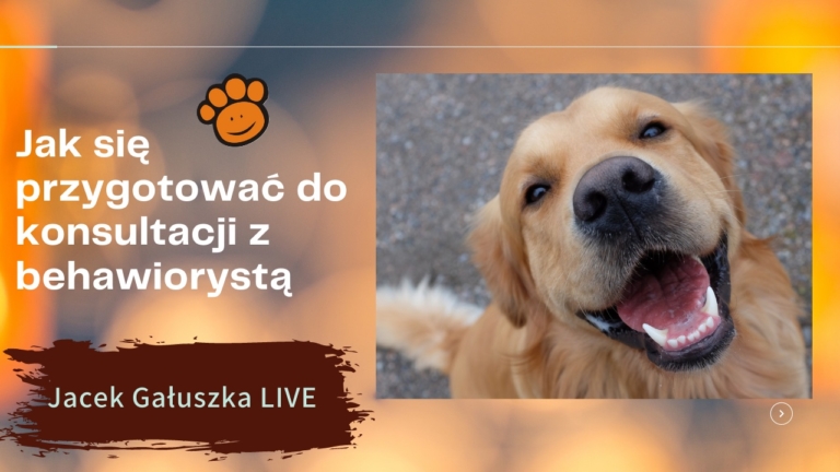 Jak się przygotować do konsultacji behawiorysty