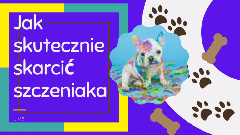 Jak skutecznie skarcic´ szczeniaka