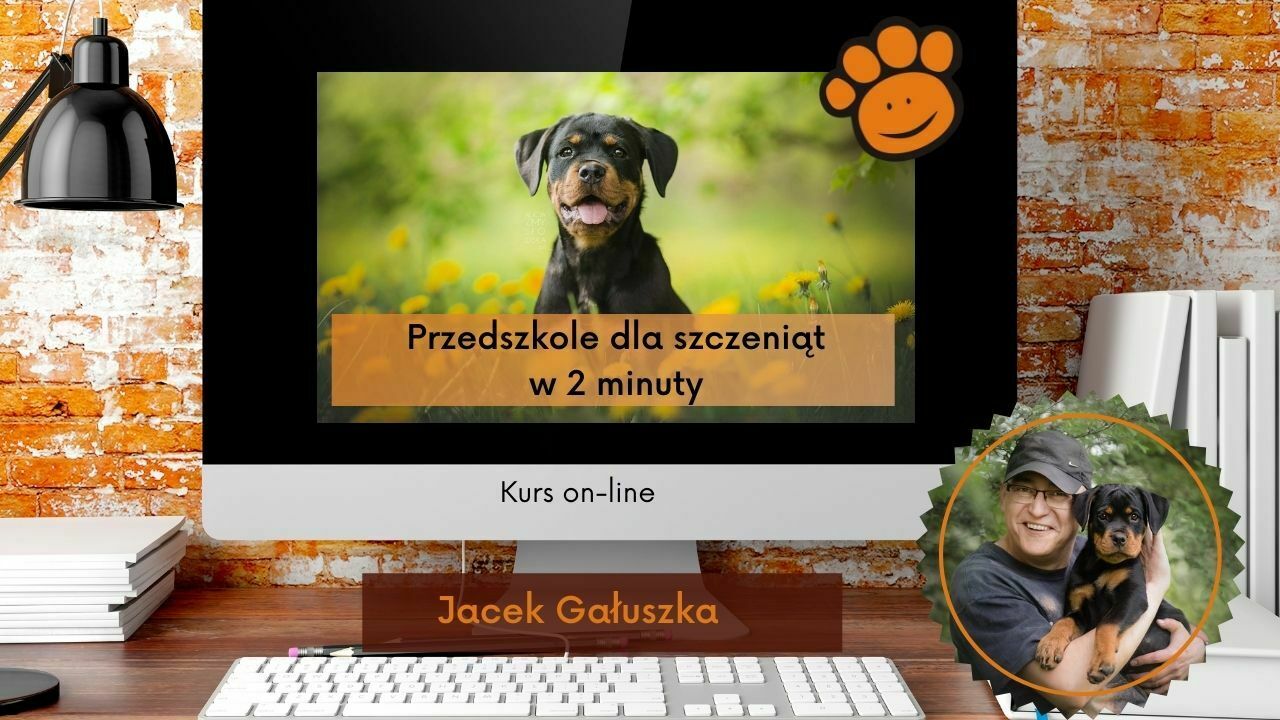Kopia Przedszkole w 2 minuty
