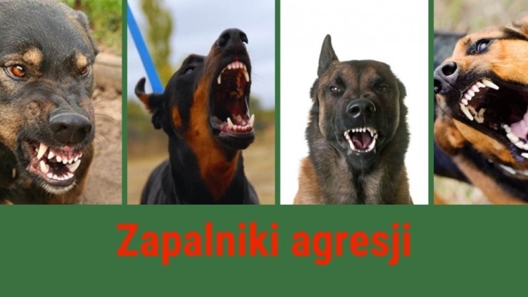 Kopia zapalniki agresji Miniatura YouTube
