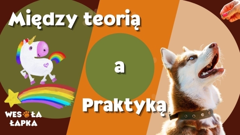 Miedzy teoria a praktyka