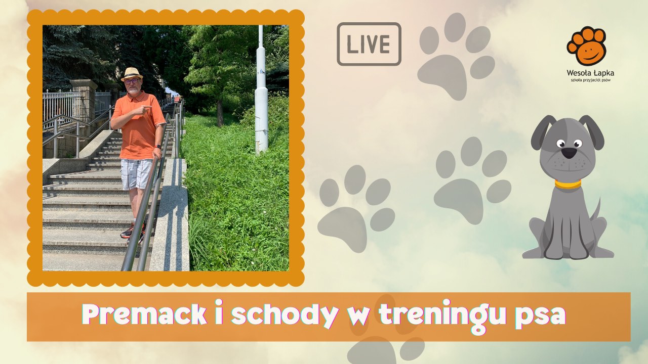 Premack i schody