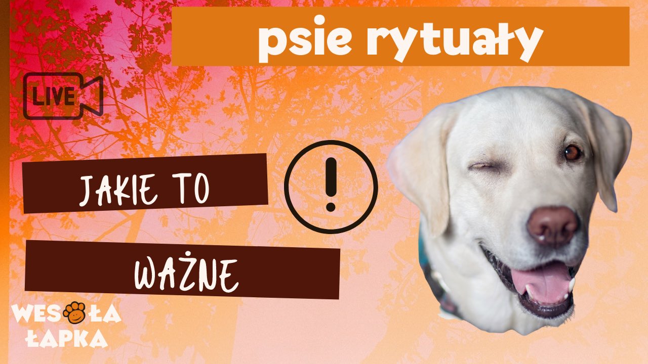 Psie rytualy 3