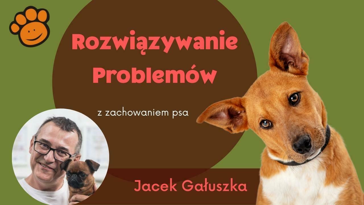 Rozwiazywanie problemow