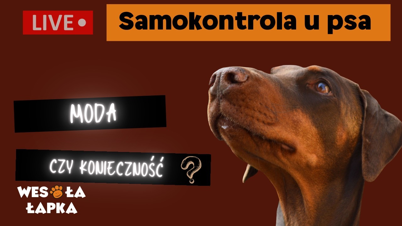 Samokontrola u psa
