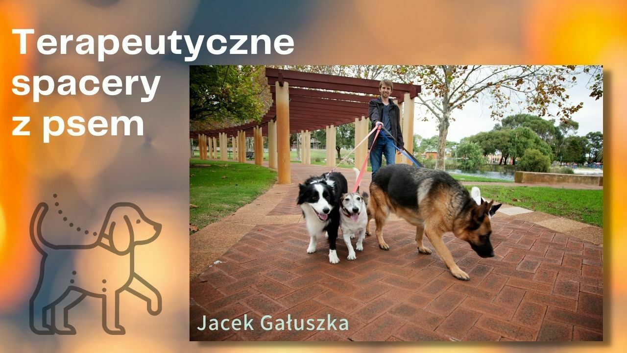 Terapeutyczne spacery z psem