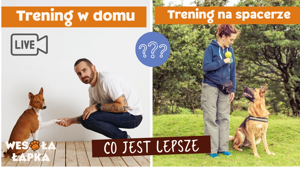 Trening w domu i na spacerze