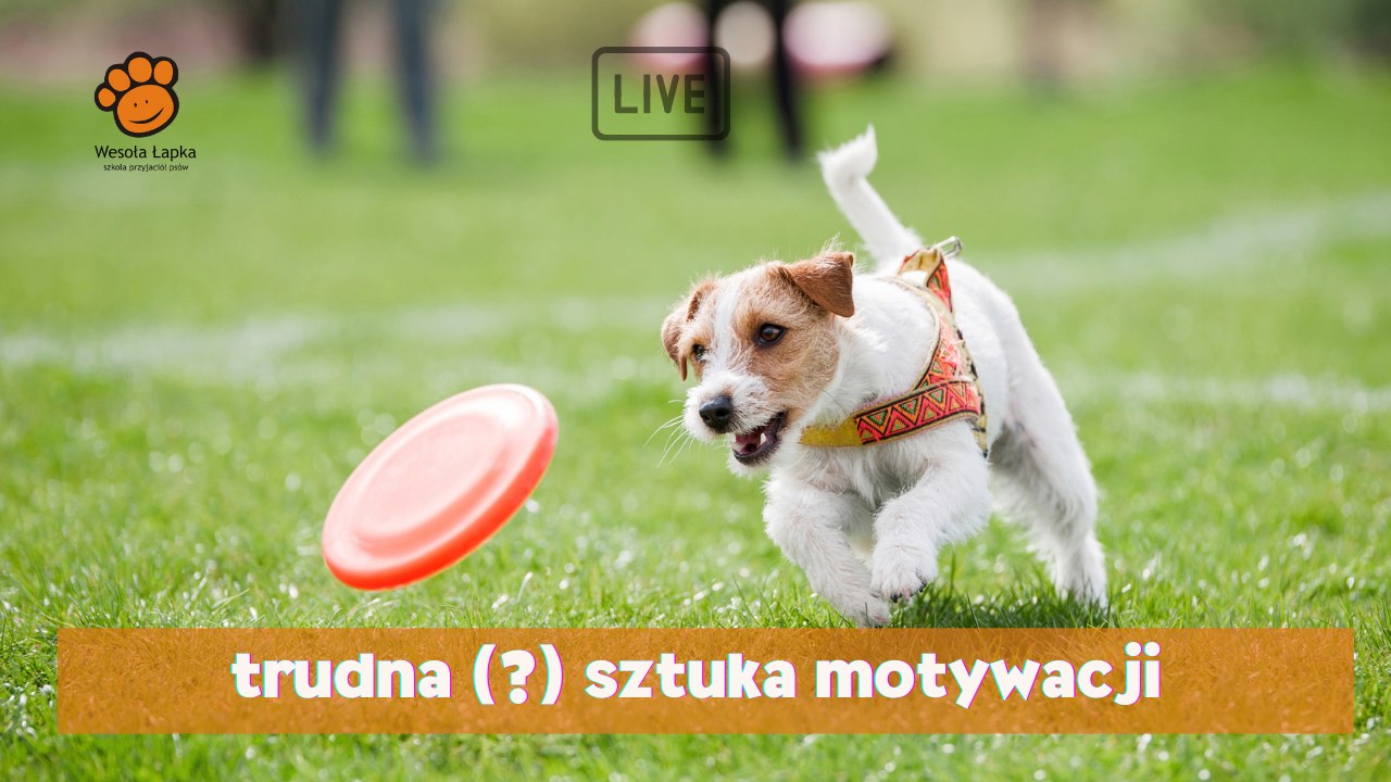 Trudna sztuka motywacji