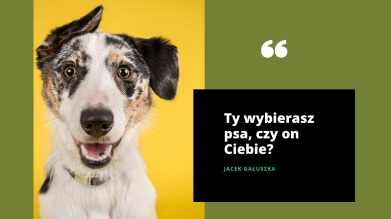 Ty wybierasz psa czy on ciebie
