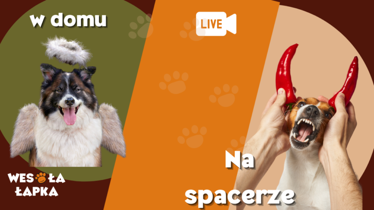 W domu aniol na spacerze diabel