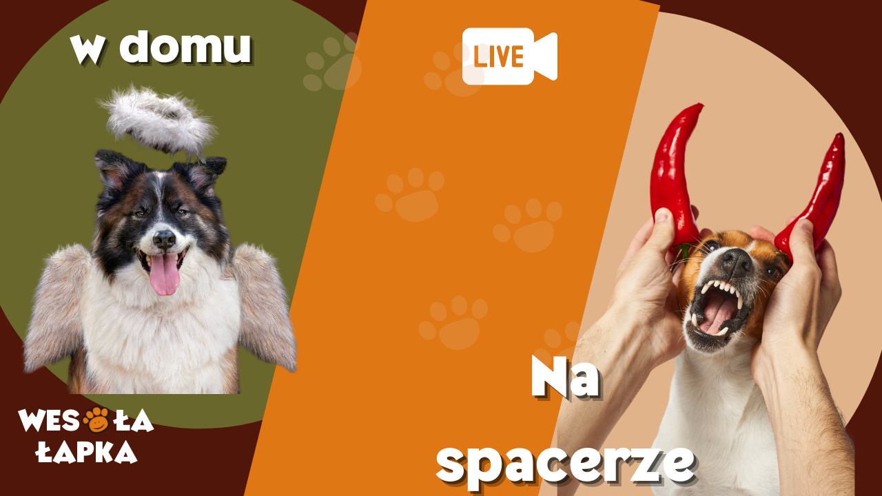W domu aniol na spacerze diabel