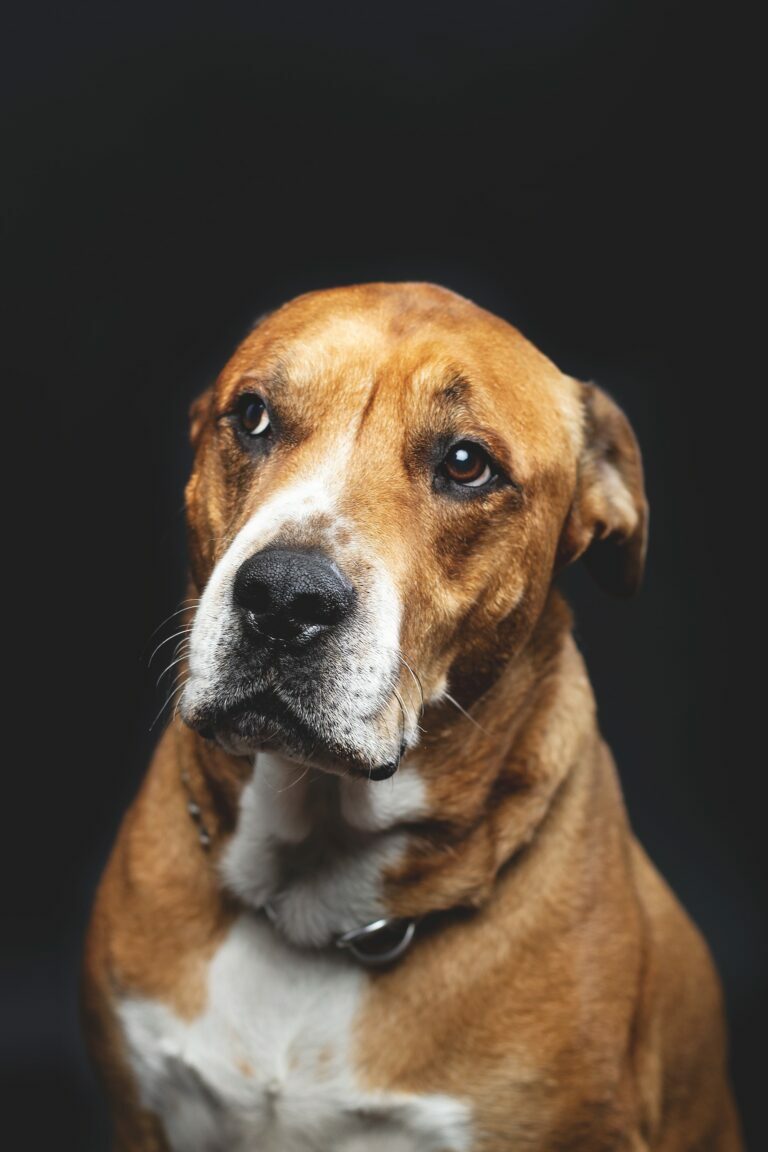 alex lacayo hchKfNuAblU unsplash