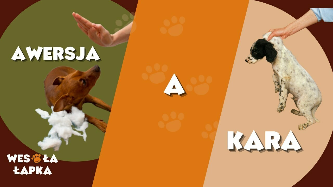 awersja a kara