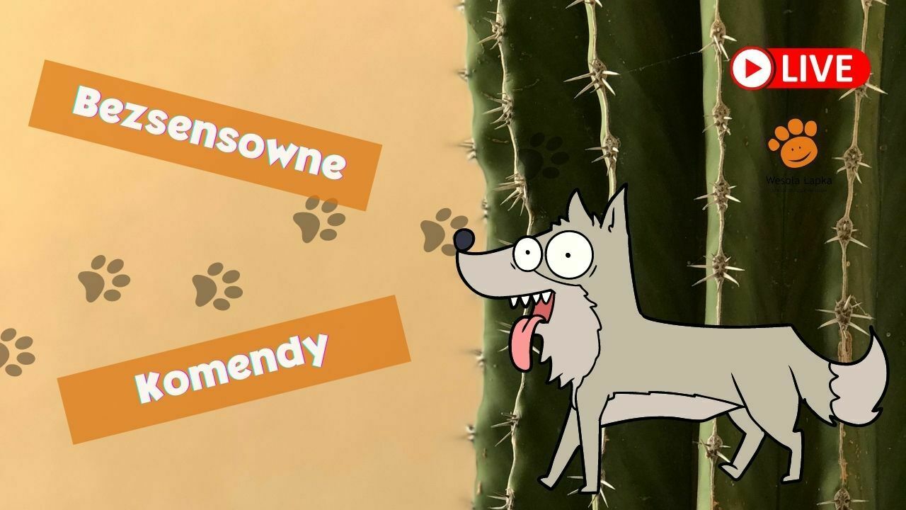 bezsensowne komendy