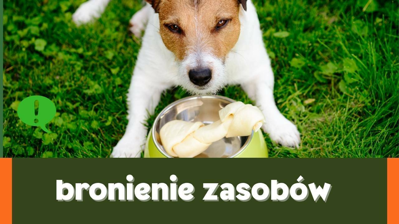 bronienie zasobow