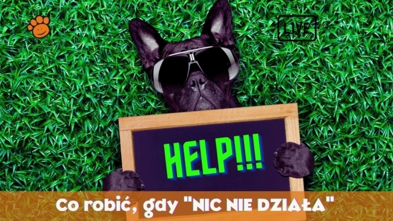gdy NIC NIe DZIALA 1