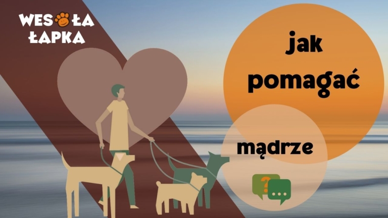 jak pomagac z glowa