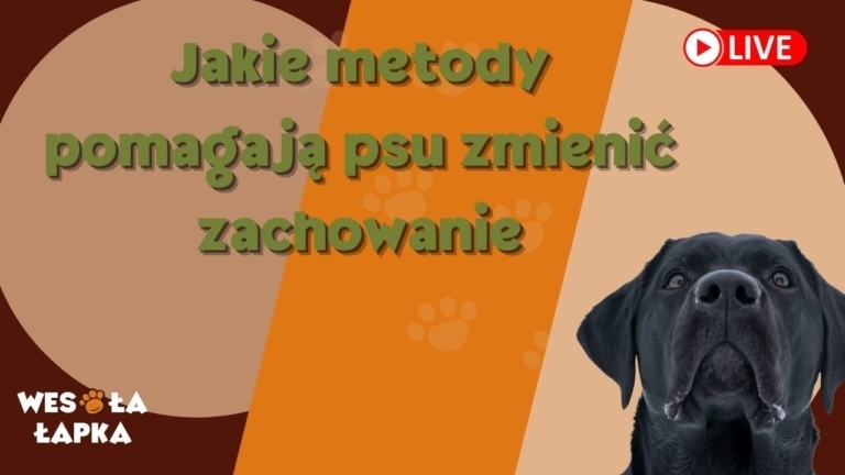 jakie metody