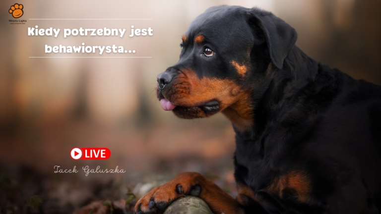 kiedy potrzebny jest behawiorysta