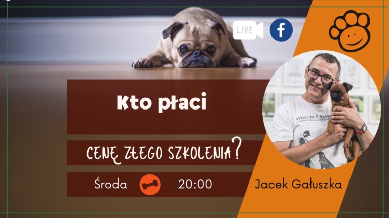 kto placi cenę
