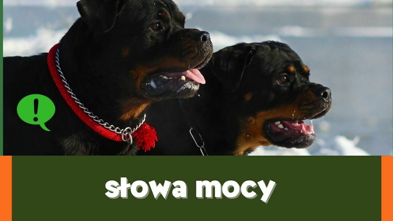 slowa mocy