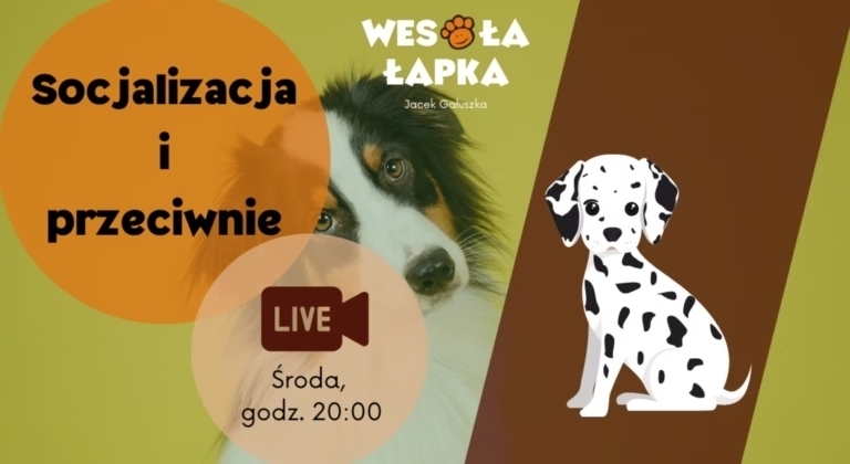 socjalizacja i desocjalizacja