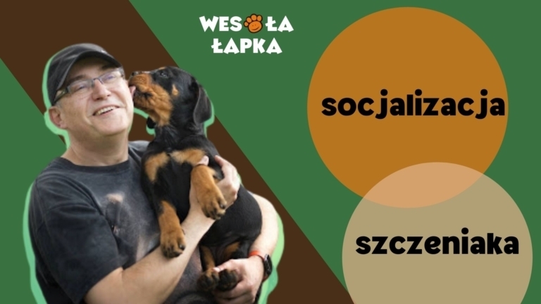 socjalizacja szczeniaka 1 1