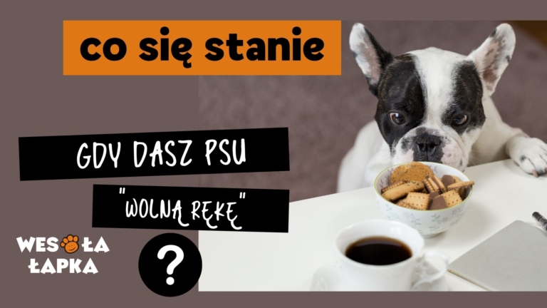 wolna reka dla psa Zdjecie w tle dla wydarzenia na Facebooku