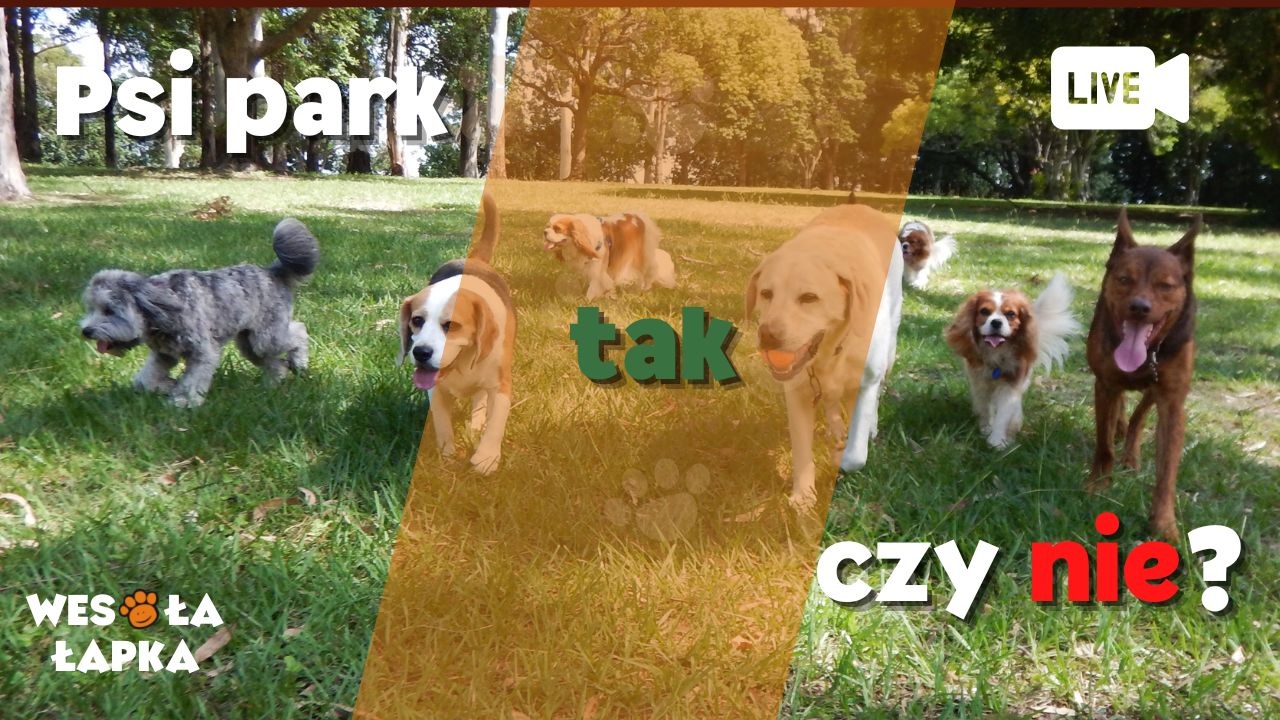 psi park