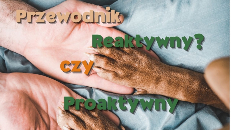 Przewodnik reaktywny czy proaktywny