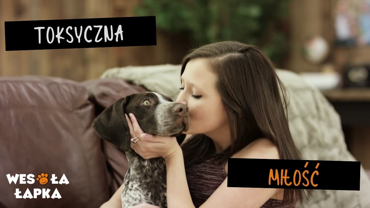 Toksyczna milość