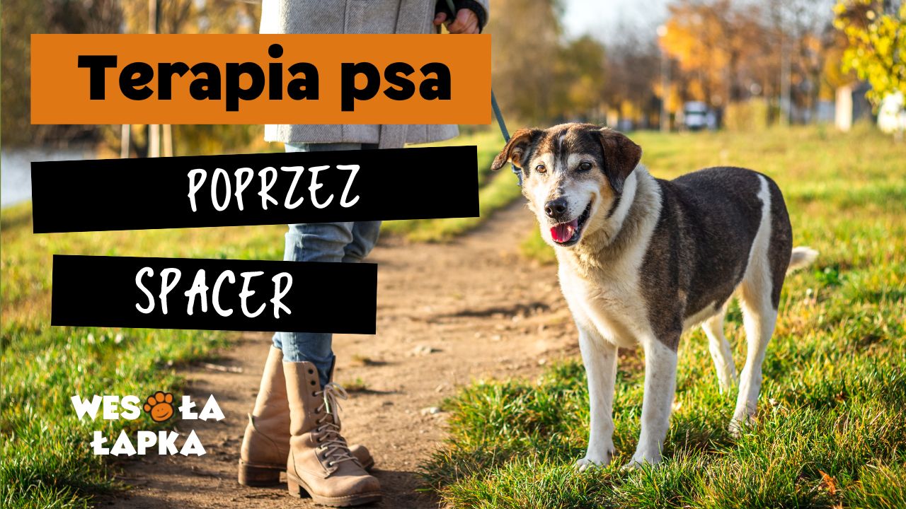 terapia poprzez spacer