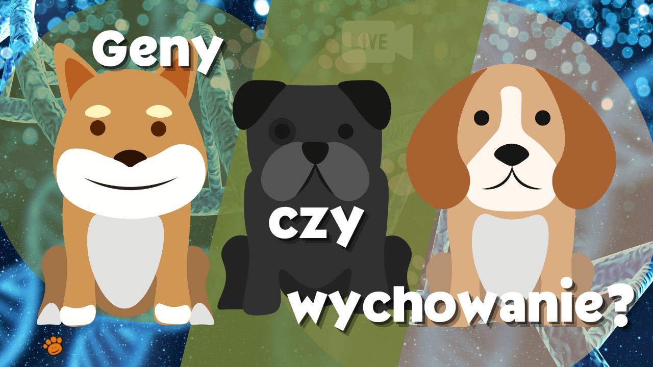 geny czy wychowanie