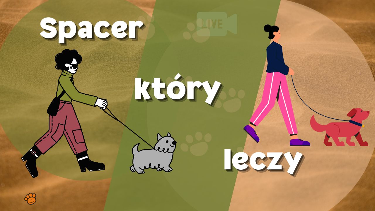 Spacer ktory leczy