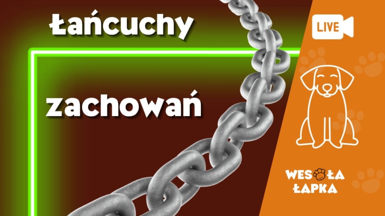 Lańcuchy zachowań