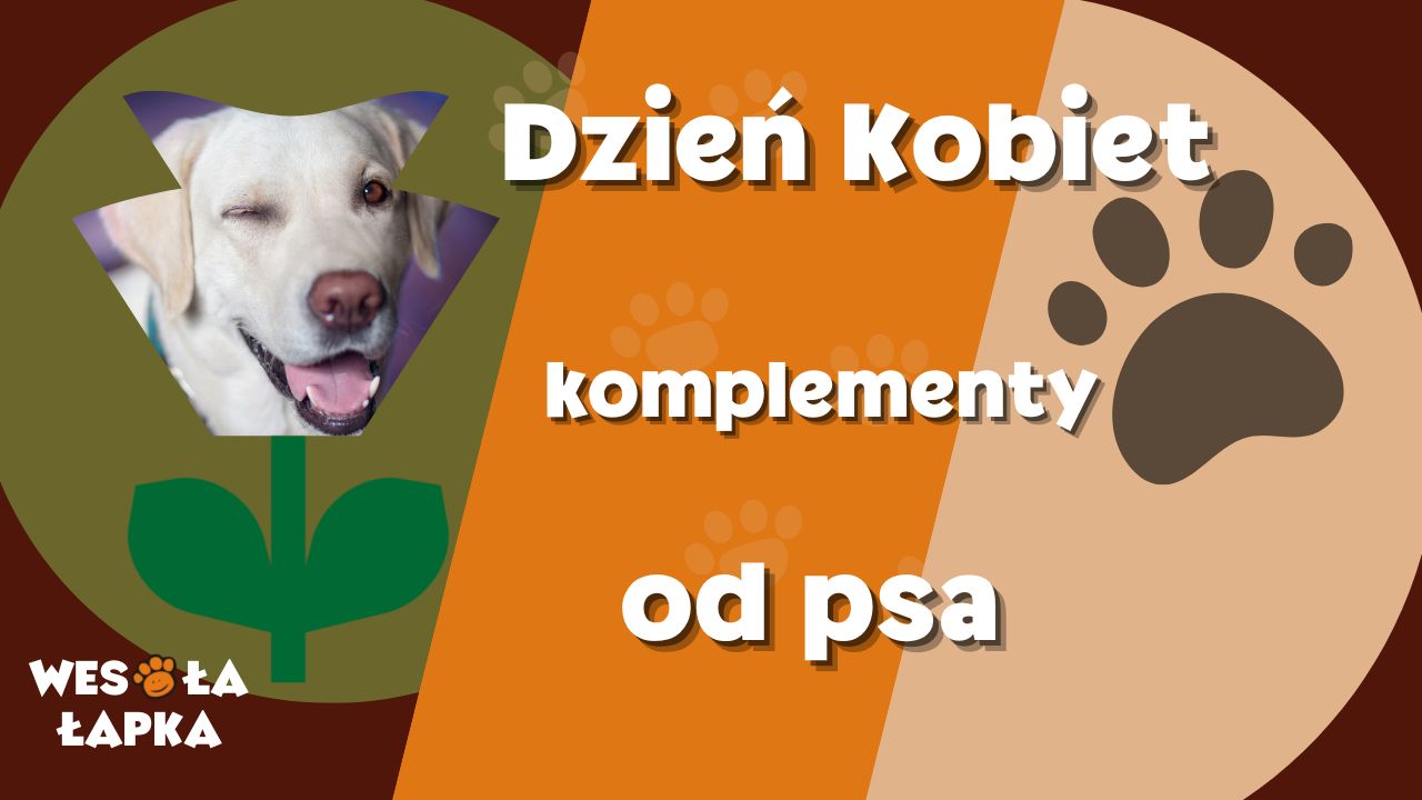 Dzien Kobiet
