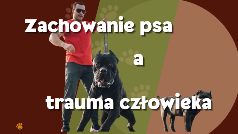 Kopia czy szczeniaka mozna przesocjalizowac