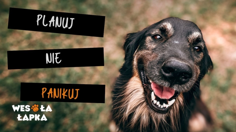 planuj nie panikuj