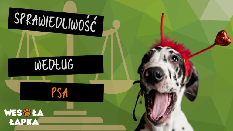 sprawiedliwosc wedlug psa