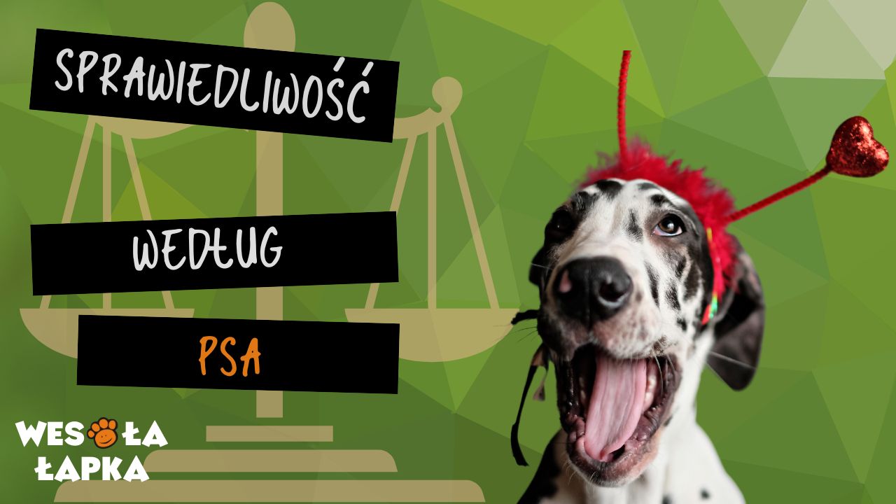 sprawiedliwosc wedlug psa