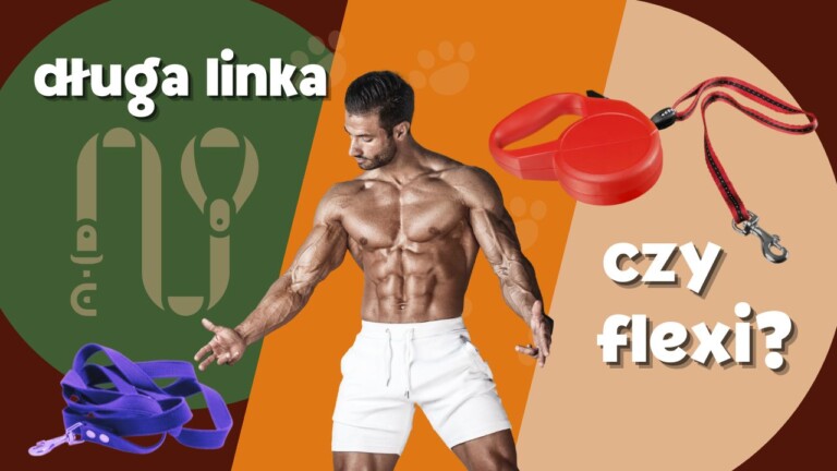 linka czy flexi 1